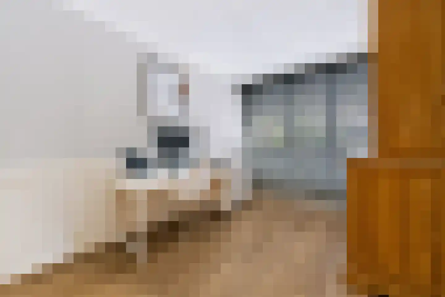 Velhorstlaan 19 Spijkenisse thumbnail 13