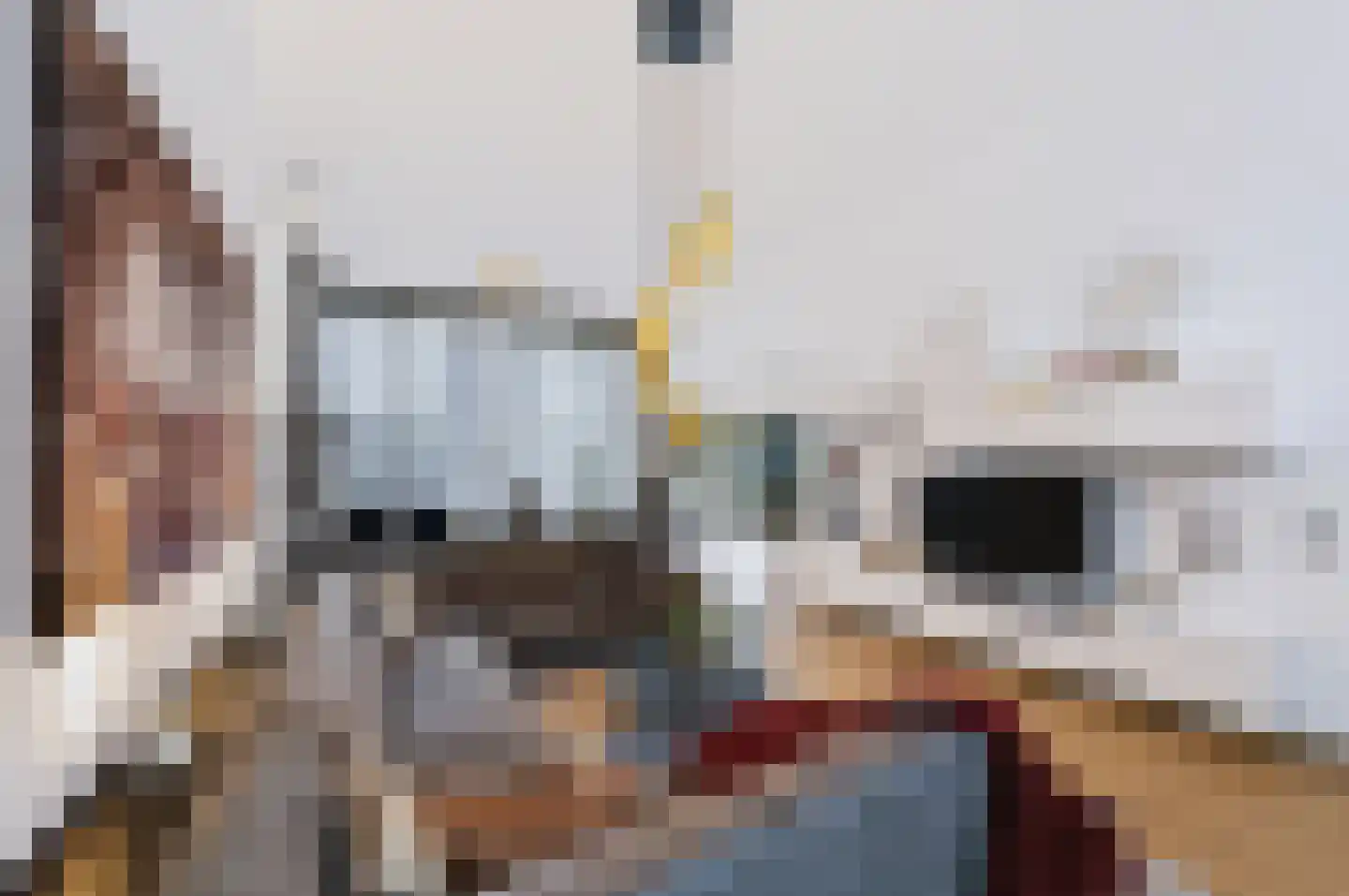 Velhorstlaan 19 Spijkenisse thumbnail 14