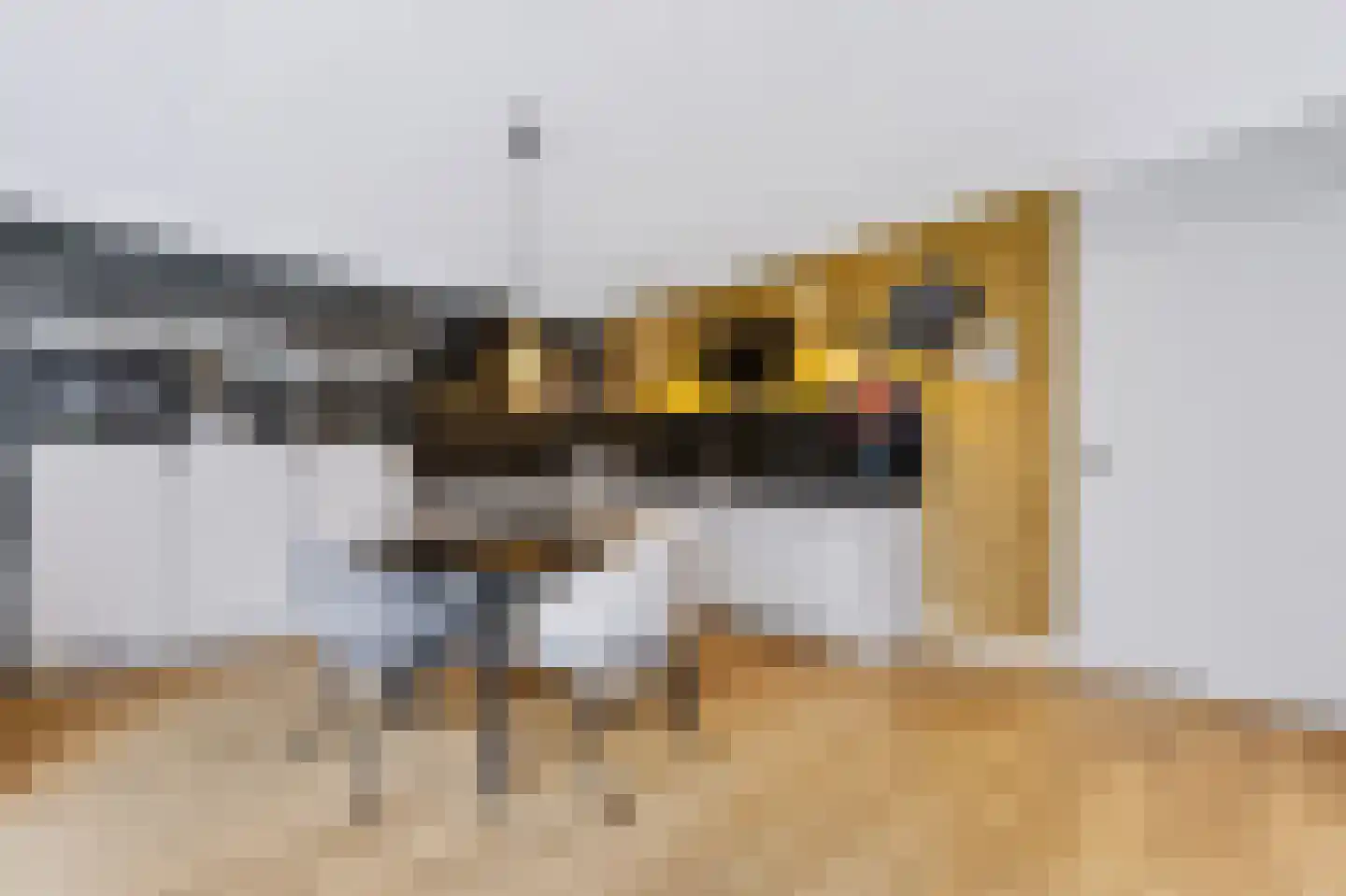 Velhorstlaan 19 Spijkenisse thumbnail 18