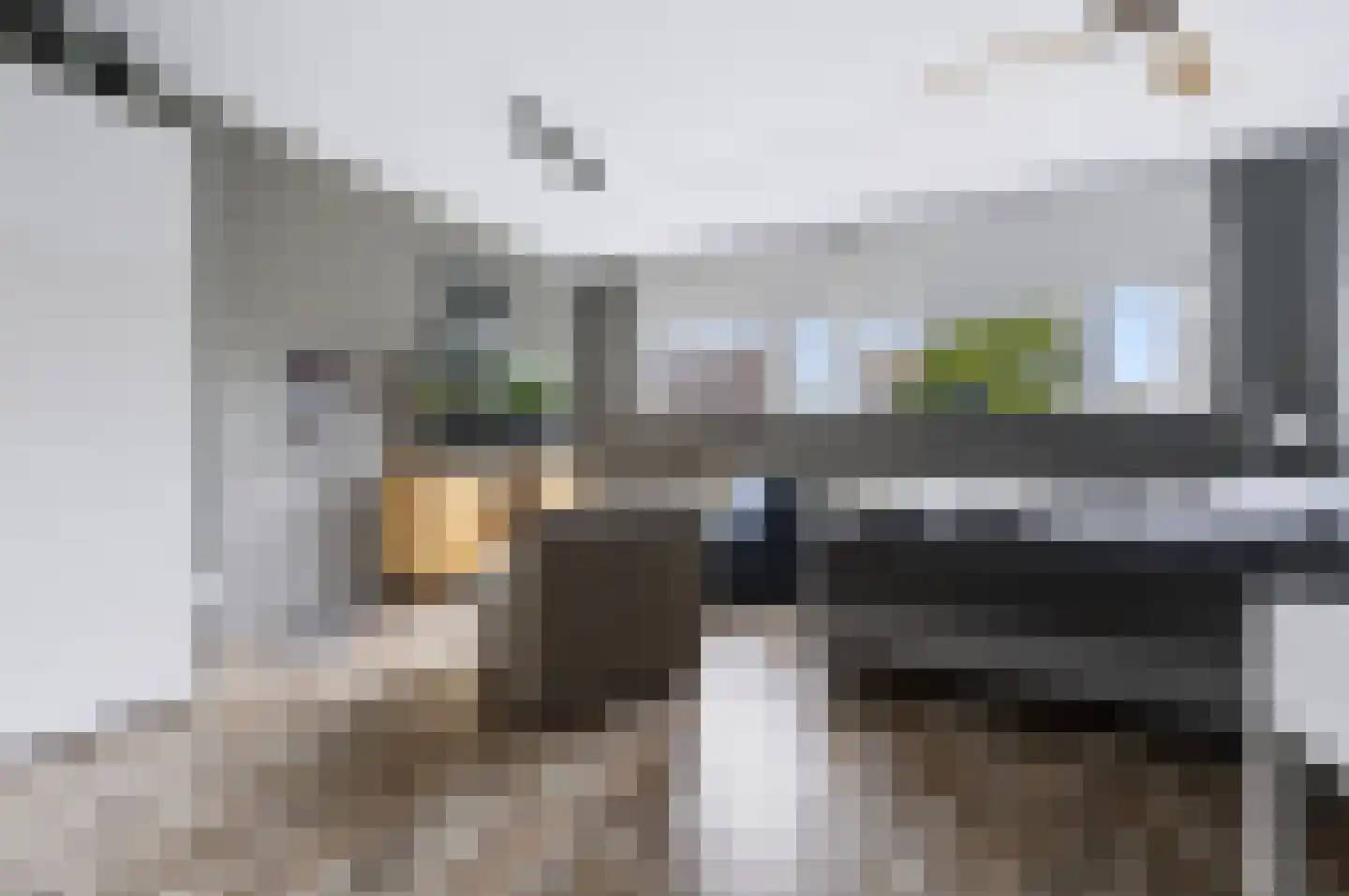 Velhorstlaan 19 Spijkenisse thumbnail 27