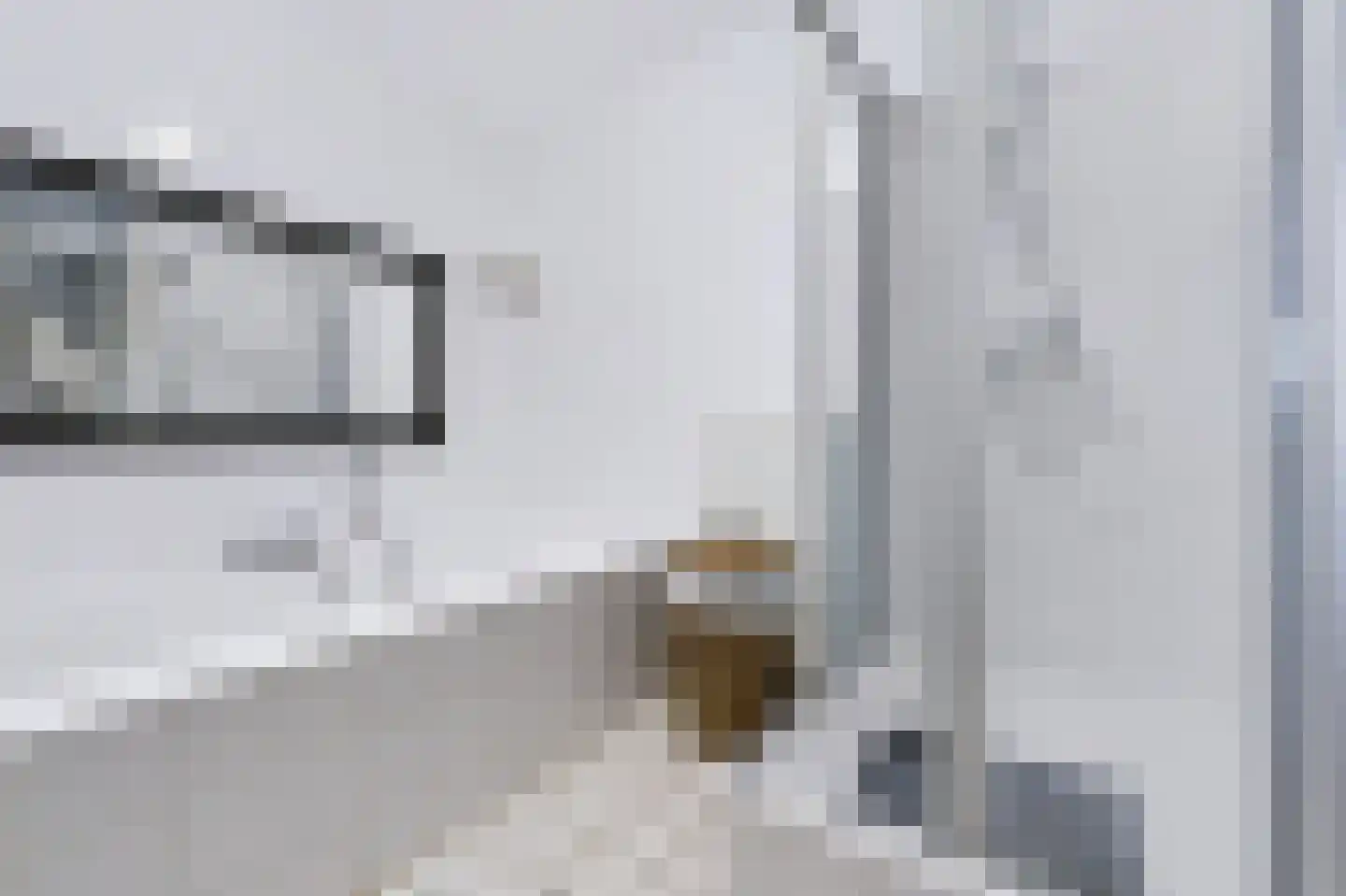 Velhorstlaan 19 Spijkenisse thumbnail 30