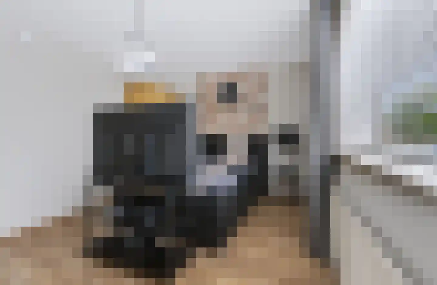 Velhorstlaan 19 Spijkenisse thumbnail 32