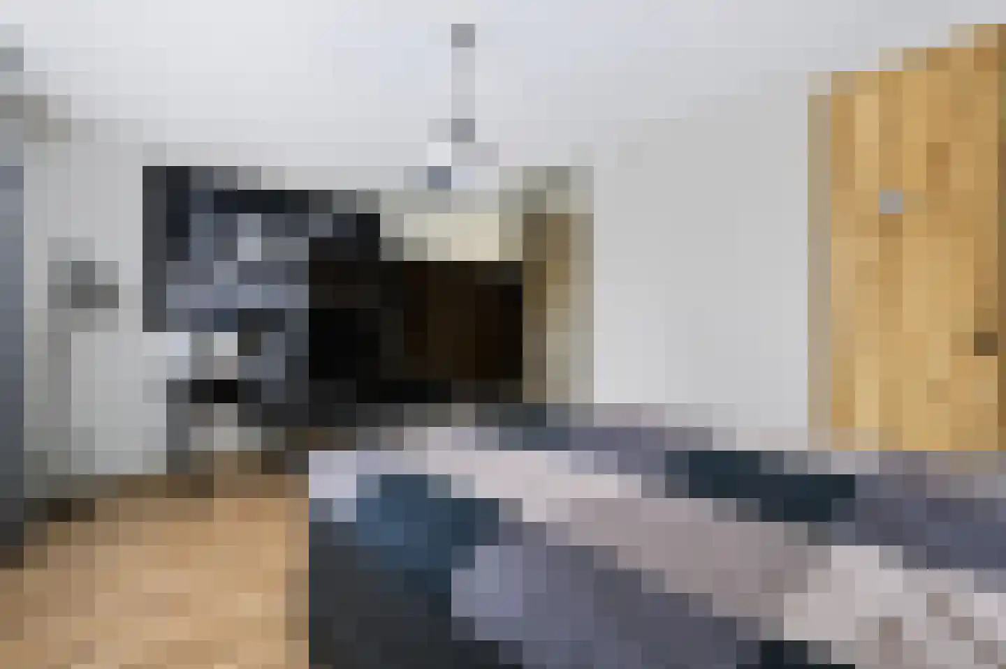 Velhorstlaan 19 Spijkenisse thumbnail 33