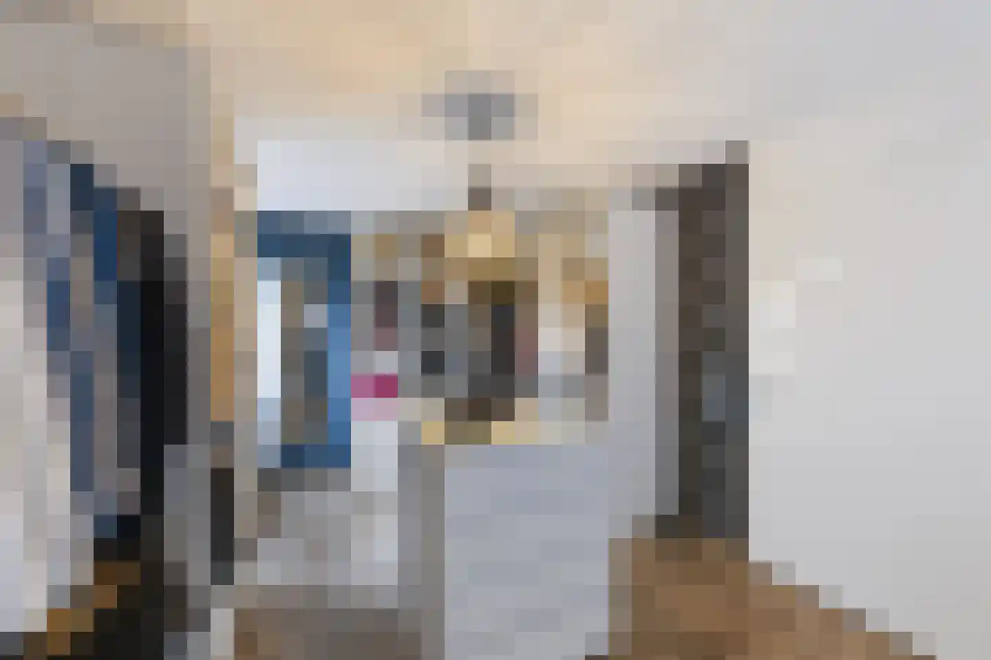 Velhorstlaan 19 Spijkenisse thumbnail 35