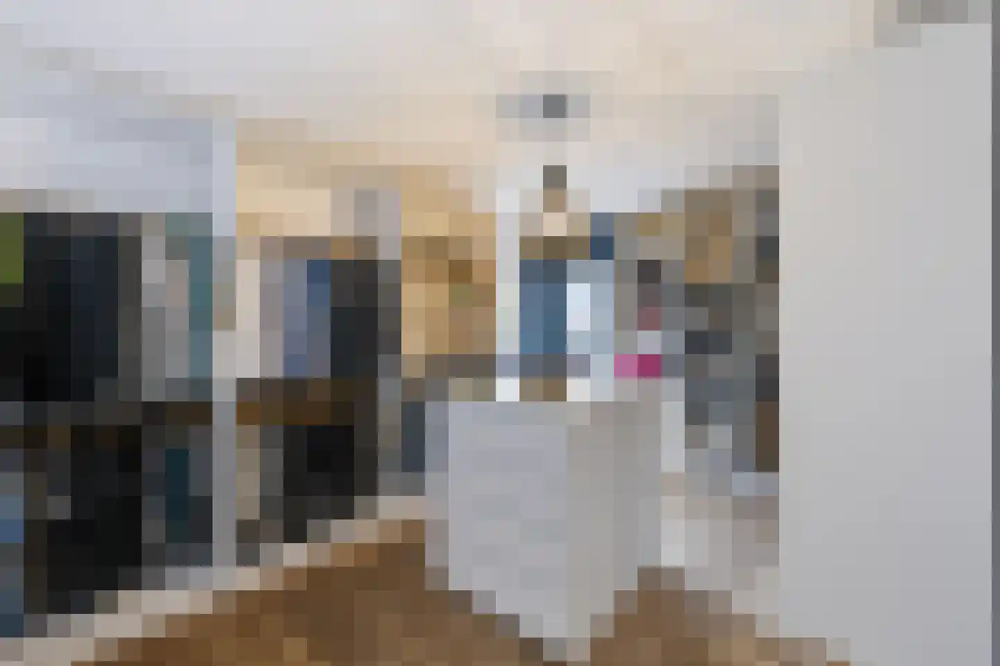Velhorstlaan 19 Spijkenisse thumbnail 36
