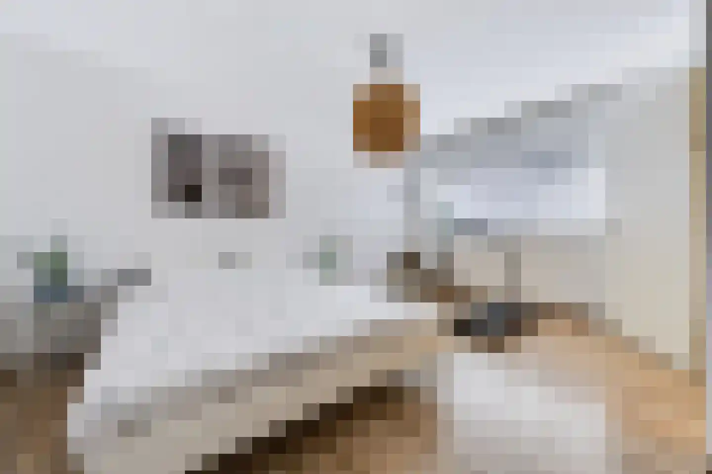 Velhorstlaan 19 Spijkenisse thumbnail 39