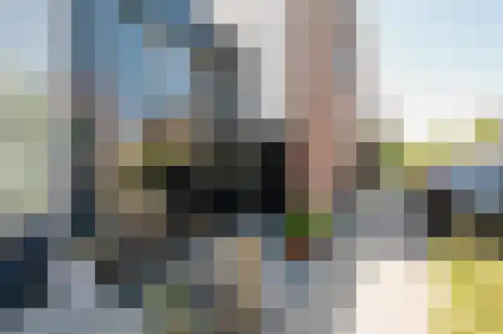 Velhorstlaan 4 Spijkenisse thumbnail 10