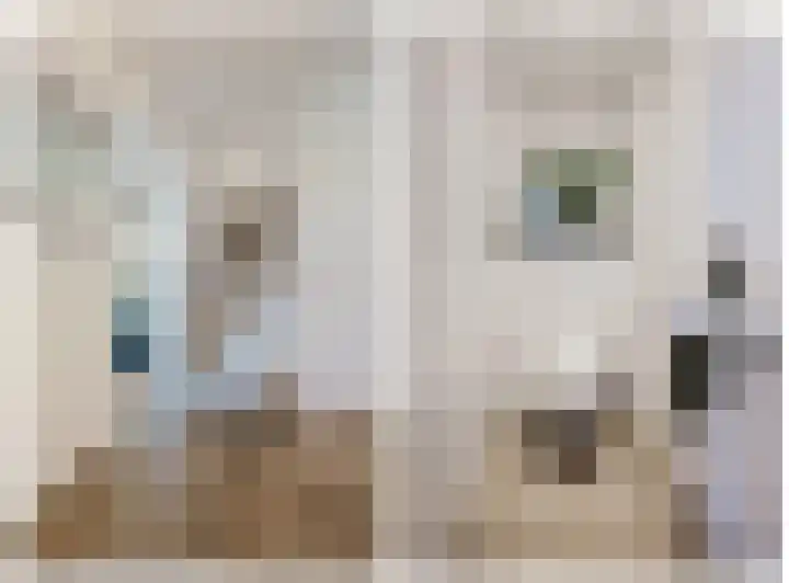 Velhorstlaan 4 Spijkenisse thumbnail 13