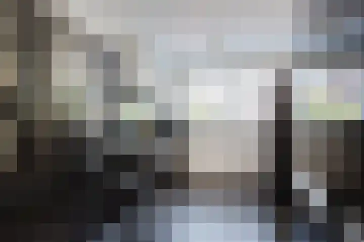 Velhorstlaan 4 Spijkenisse thumbnail 14