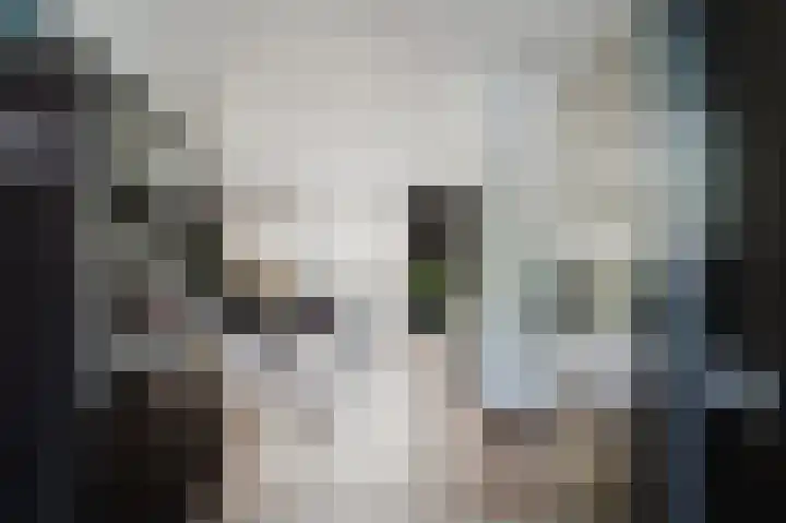 Velhorstlaan 4 Spijkenisse thumbnail 15