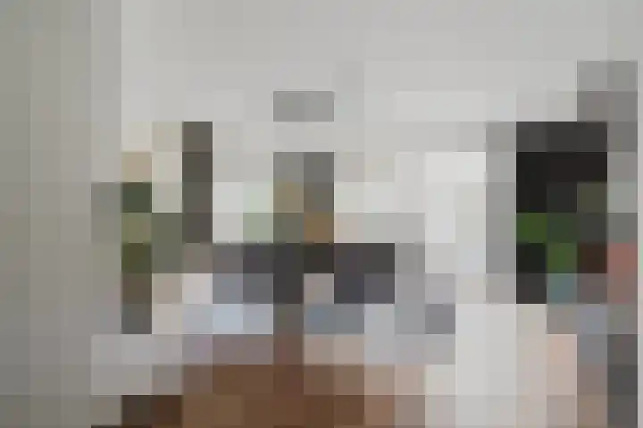 Velhorstlaan 4 Spijkenisse thumbnail 16