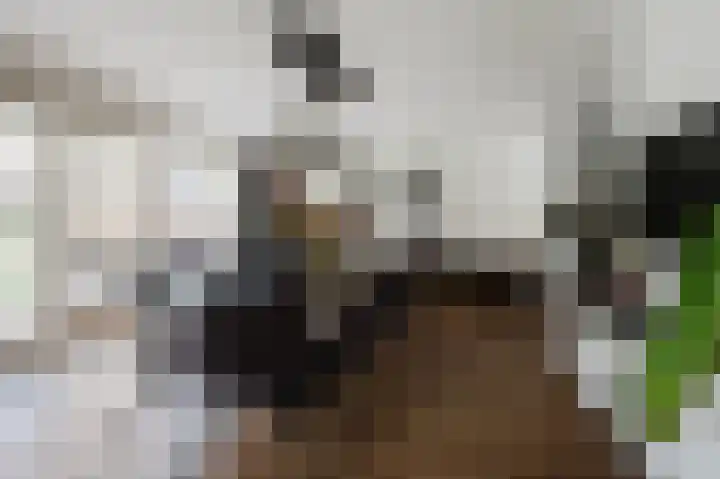 Velhorstlaan 4 Spijkenisse thumbnail 17
