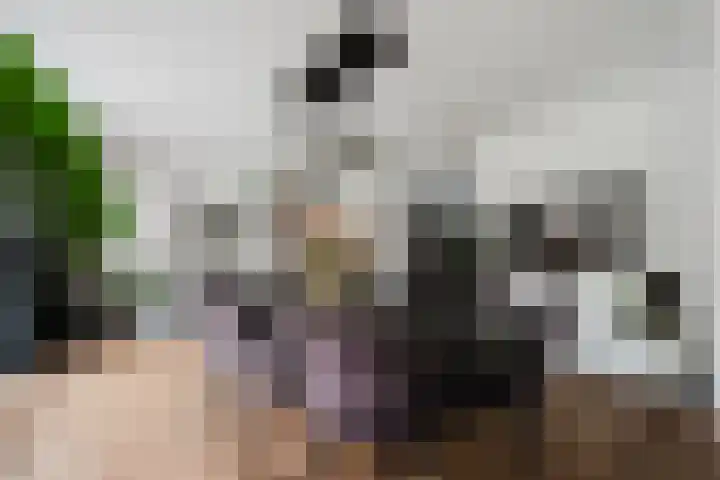 Velhorstlaan 4 Spijkenisse thumbnail 18