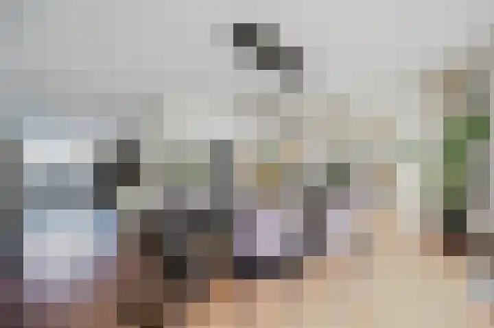 Velhorstlaan 4 Spijkenisse thumbnail 19