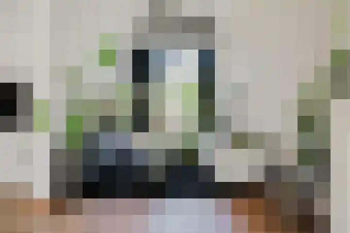 Velhorstlaan 4 Spijkenisse thumbnail 20