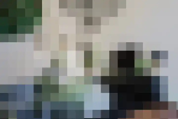 Velhorstlaan 4 Spijkenisse thumbnail 21