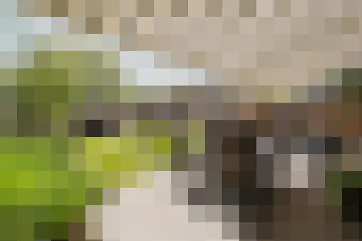 Velhorstlaan 4 Spijkenisse thumbnail 22