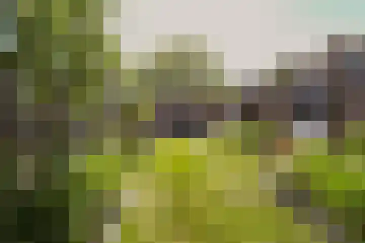 Velhorstlaan 4 Spijkenisse thumbnail 23