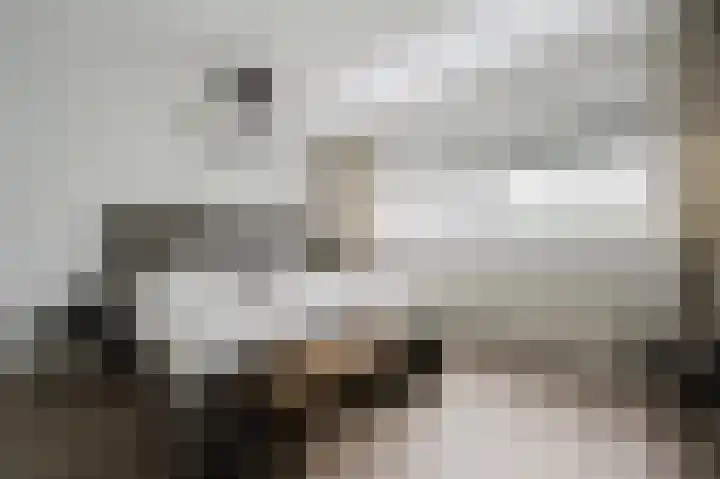 Velhorstlaan 4 Spijkenisse thumbnail 25