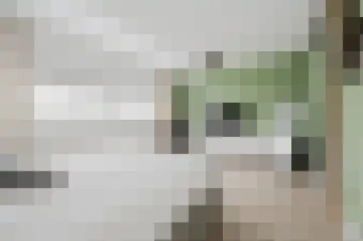 Velhorstlaan 4 Spijkenisse thumbnail 26