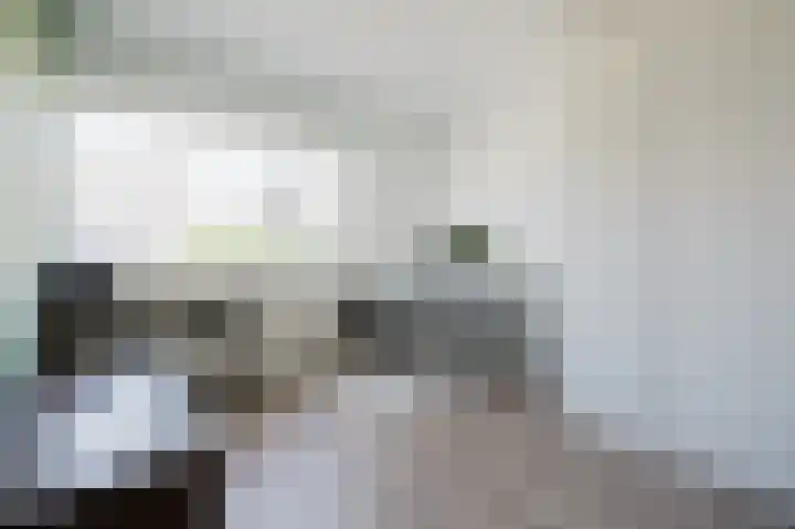 Velhorstlaan 4 Spijkenisse thumbnail 30