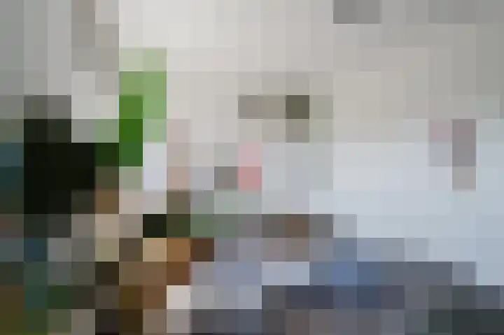 Velhorstlaan 4 Spijkenisse thumbnail 36