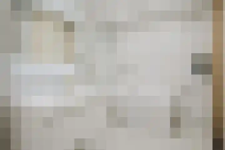 Velhorstlaan 4 Spijkenisse thumbnail 38