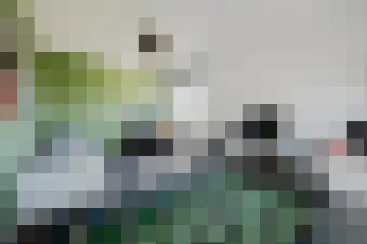 Velhorstlaan 4 Spijkenisse thumbnail 39
