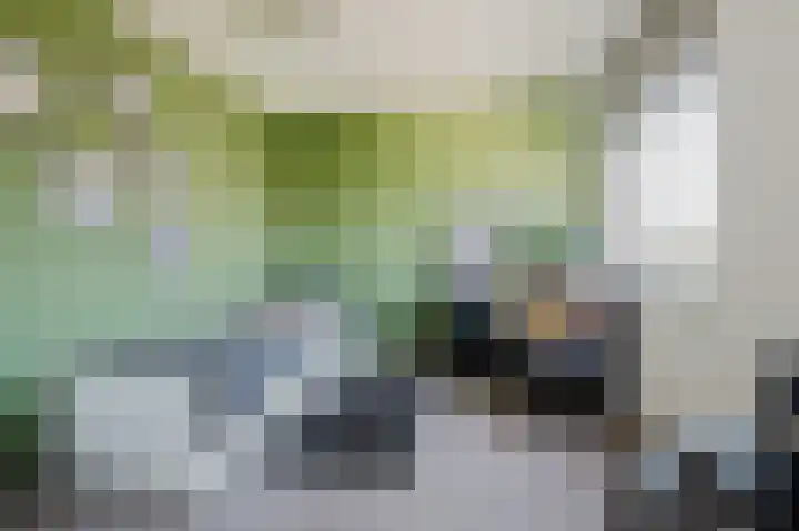 Velhorstlaan 4 Spijkenisse thumbnail 40