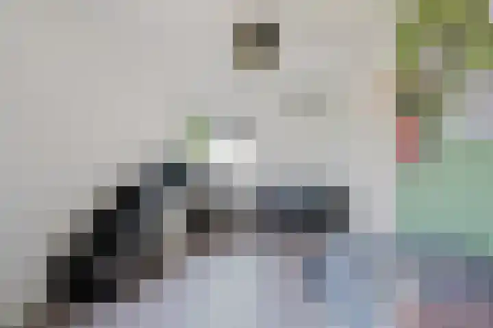 Velhorstlaan 4 Spijkenisse thumbnail 41
