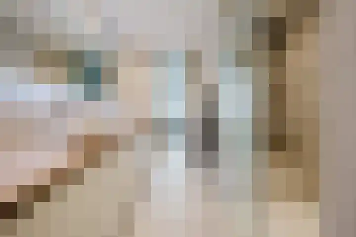 Velhorstlaan 4 Spijkenisse thumbnail 5