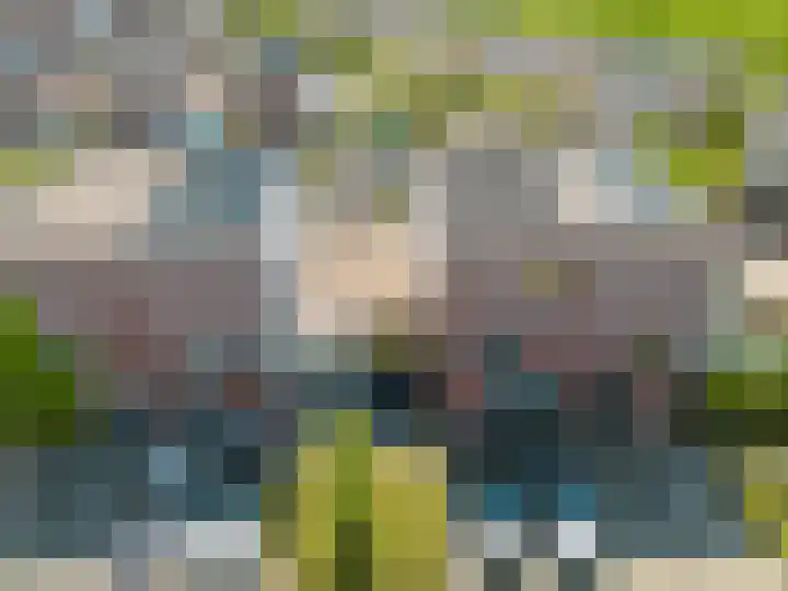 Velhorstlaan 4 Spijkenisse thumbnail 6