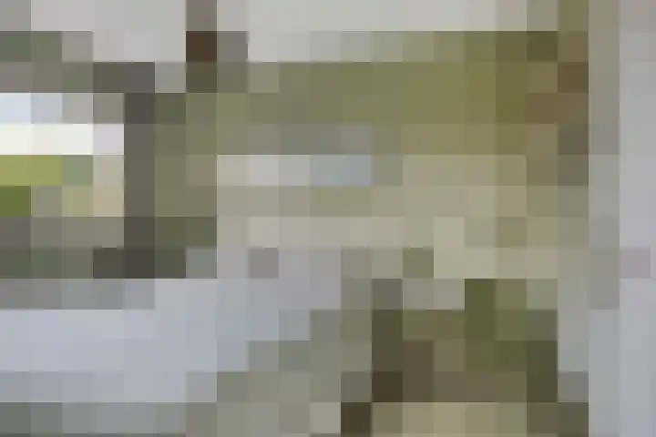 Velhorstweide 1 Helmond thumbnail 23