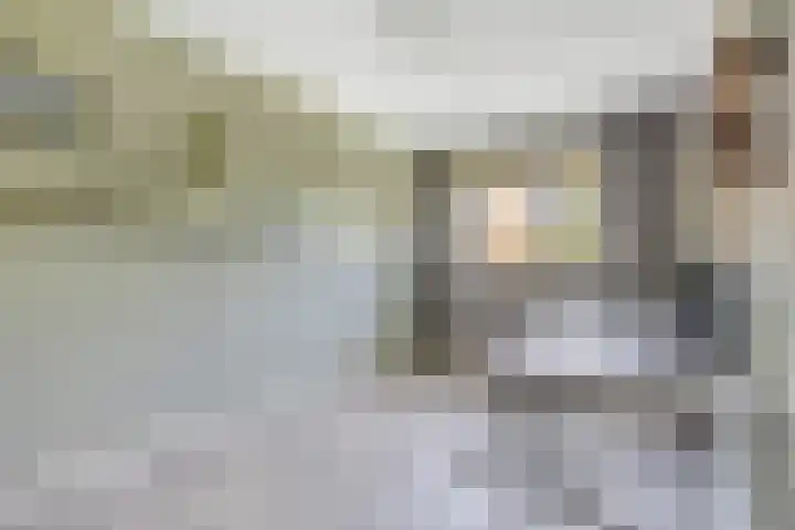 Velhorstweide 1 Helmond thumbnail 25