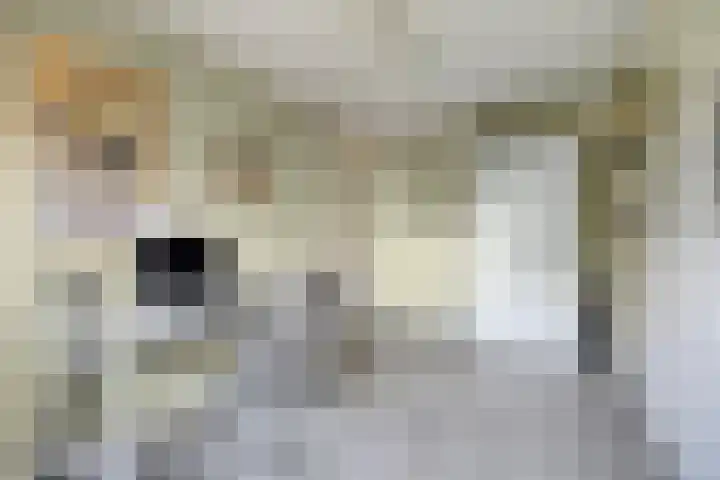 Velhorstweide 1 Helmond thumbnail 26