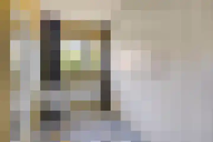 Velhorstweide 1 Helmond thumbnail 27