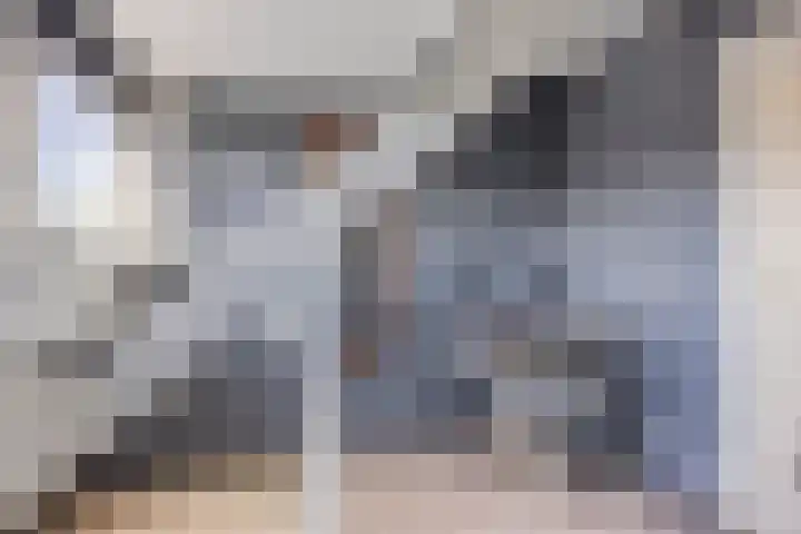 Velhorstweide 1 Helmond thumbnail 31