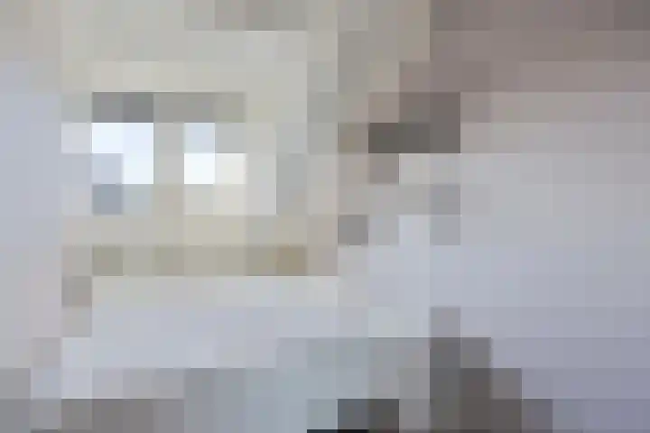Velhorstweide 1 Helmond thumbnail 32