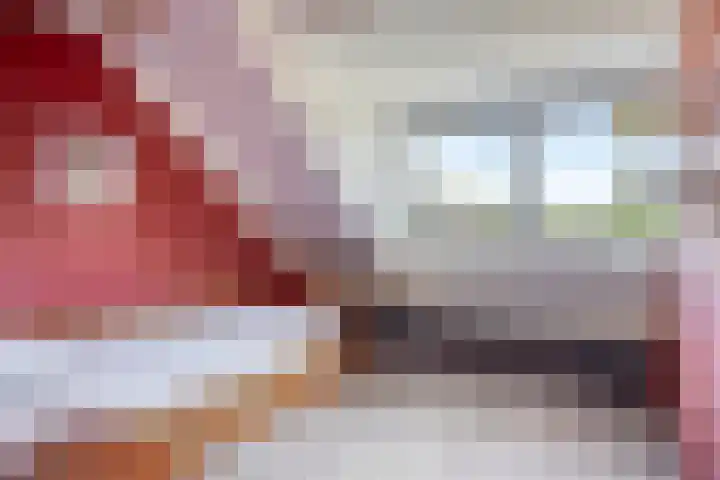 Velhorstweide 1 Helmond thumbnail 33