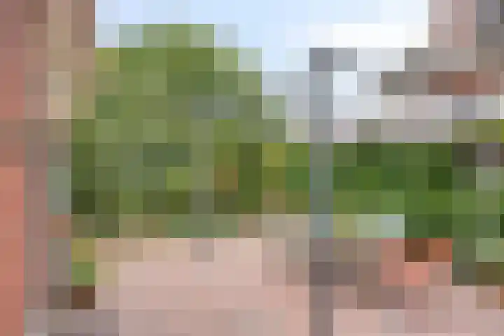 Velhorstweide 1 Helmond thumbnail 34