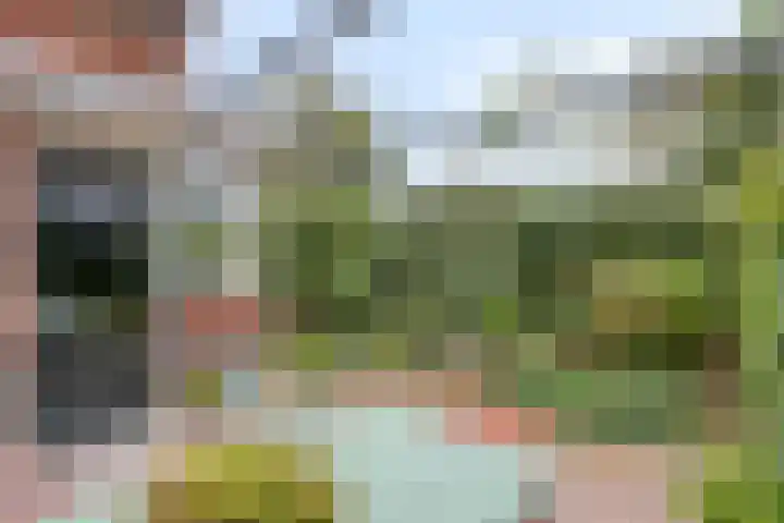 Velhorstweide 1 Helmond thumbnail 35