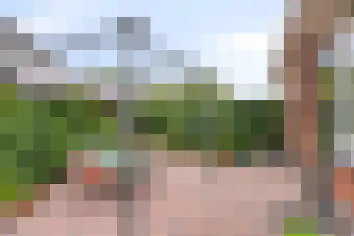 Velhorstweide 1 Helmond thumbnail 38
