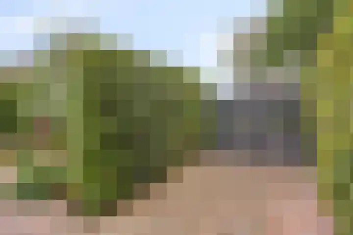 Velhorstweide 1 Helmond thumbnail 40