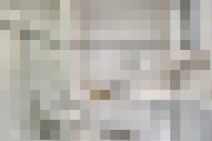 Velhorstweide 1 Helmond thumbnail 5
