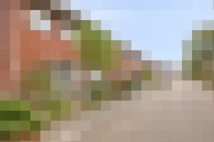Velhorstweide 1 Helmond thumbnail 7