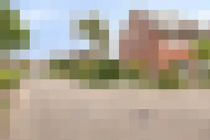 Velhorstweide 1 Helmond thumbnail 8