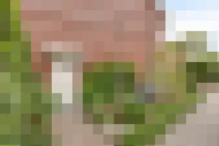 Velhorstweide 1 Helmond thumbnail 9