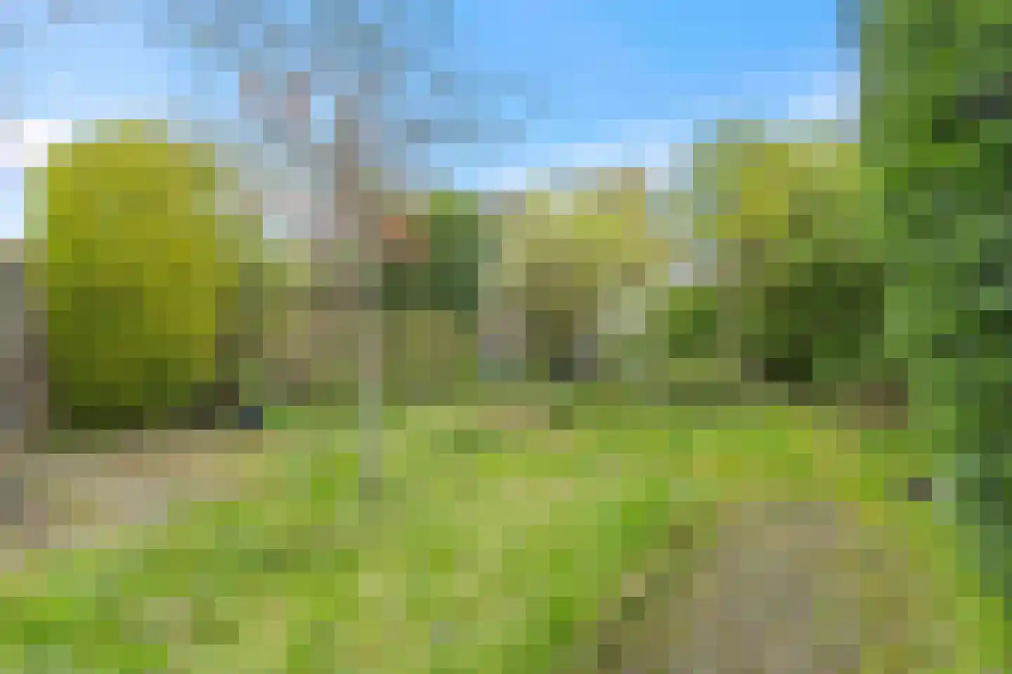 Velhorstweide 24 Helmond thumbnail 32