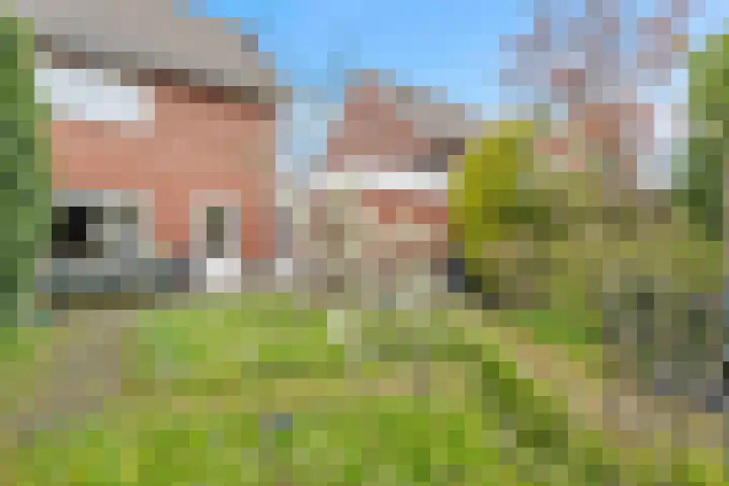 Velhorstweide 24 Helmond thumbnail 34