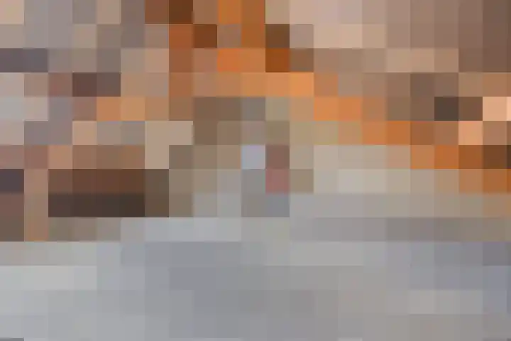 Velijndonk 10 Maastricht thumbnail 27